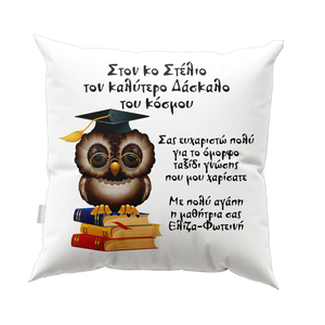 Μαξιλάρι για δασκάλα / δάσκαλο - Σχέδιο 10 - διακοσμητικά, μαξιλάρια, προσωποποιημένα, για δασκάλους