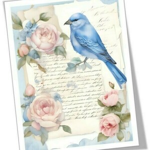 Αφίσα - Poster Βlue Bird, 1 - αφίσες - 2