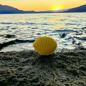 Αρωματικο Κερι Σογιας Κοχύλι - κοχύλι, αρωματικά κεριά, δώρα γενεθλίων, αρωματικό χώρου - 4