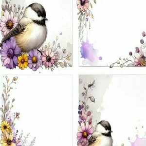 Σημειωματάριο Notepads, Hello Birdie 8, 3 σχέδια - τετράδια & σημειωματάρια