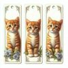 Tiny 20250606082247 adba5e4c set 3 tmch