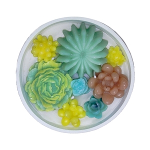 Terrarium cactus candle - 2