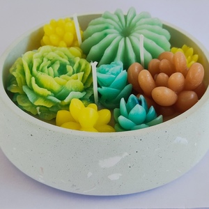 Terrarium cactus candle - 4