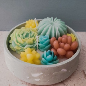 Terrarium cactus candle - 5