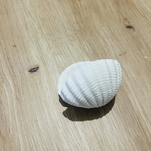 Pearl Whisper | Το Κοχύλι με το Μαργαριτάρι - ρητίνη, κοχύλι, minimal, διακοσμητικά - 3