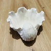 Tiny 20250623183948 dcb40880 curl tide to