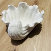 Tiny 20250623183948 49baf803 curl tide to