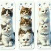 Tiny 20250701074826 a4dba2e2 set 3 tmch