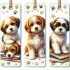Tiny 20250701083314 d51d01a7 set 3 tmch