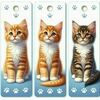 Tiny 20250701091429 e25222f6 set 3 tmch