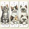 Tiny 20250701092055 46678e51 set 3 tmch